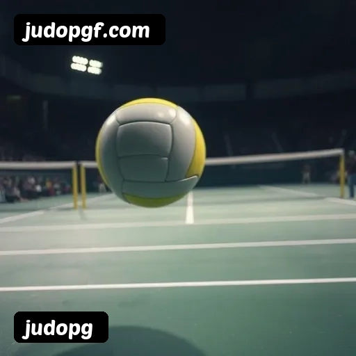Níveis do programa VIP da judopg